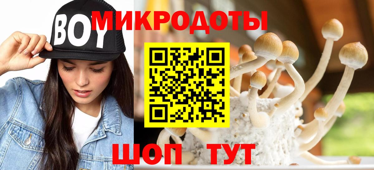 Псилоцибиновые грибы ЛСД  Галлюциногенные грибы MAGIC MUSHROOMS  Вход с VPN  Сланцы 