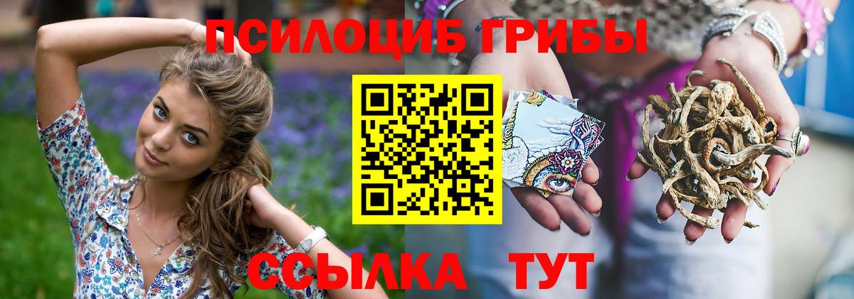 Псилоцибиновые грибы MAGIC MUSHROOMS Сланцы